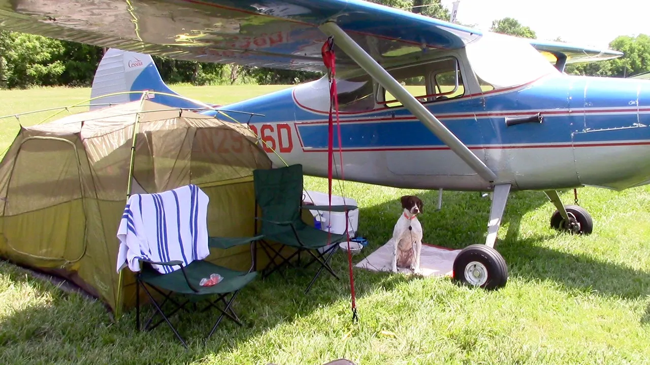 Airplane Design (Blue/Red) - AIR35JJ170-BR1