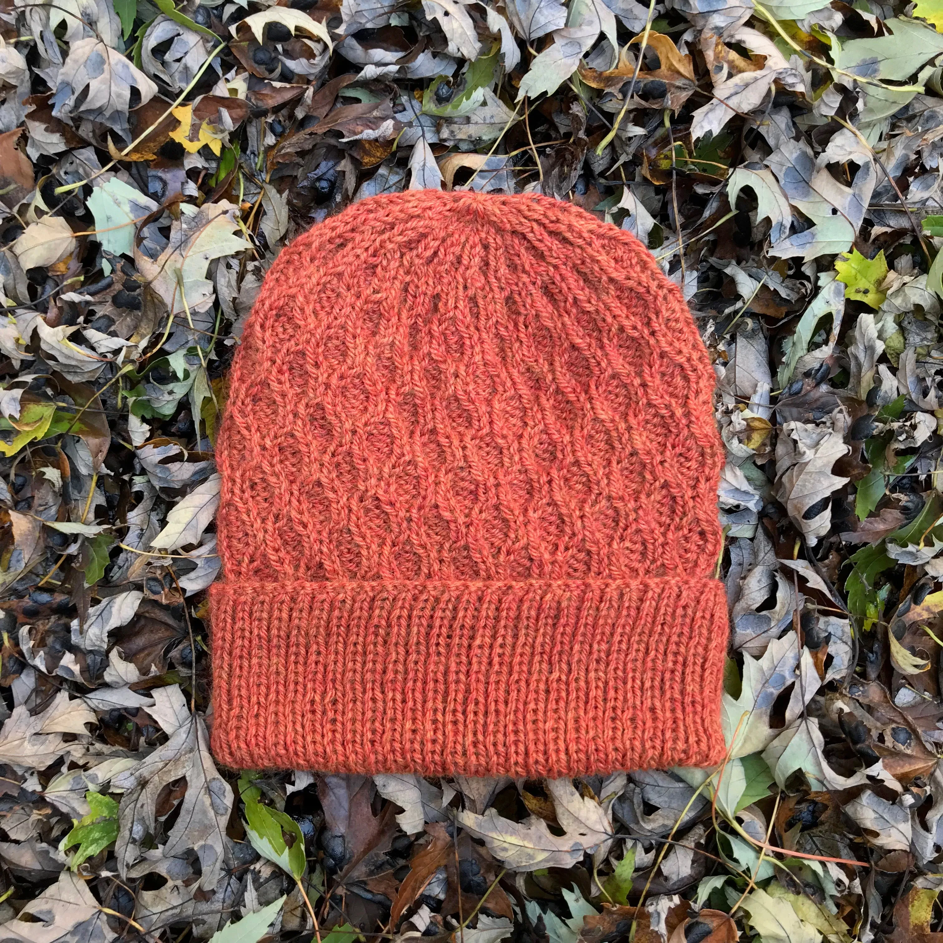 Busy Beenie Pattern