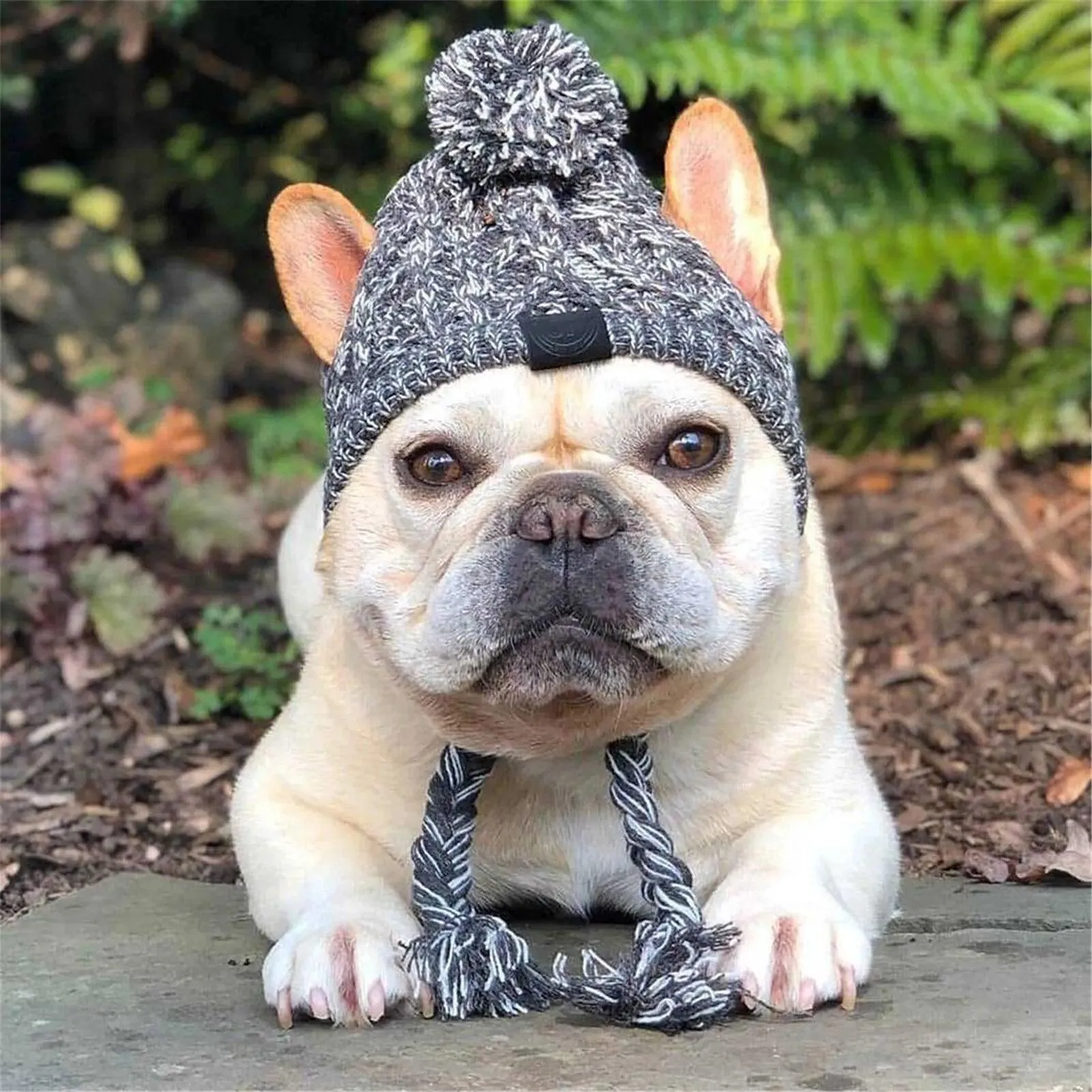Cozy Winter Warm Dog Hats