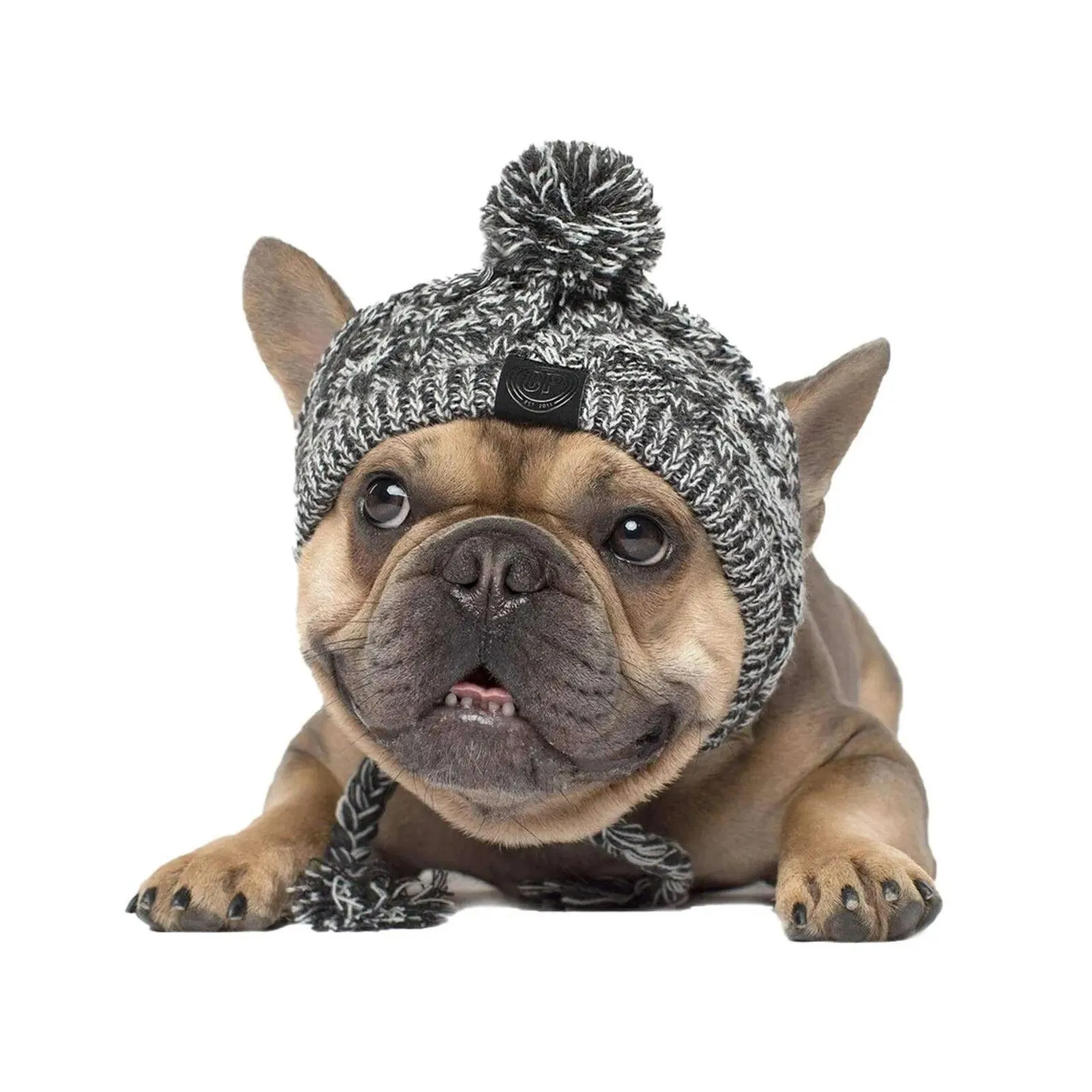 Cozy Winter Warm Dog Hats
