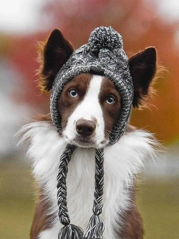 Cozy Winter Warm Dog Hats