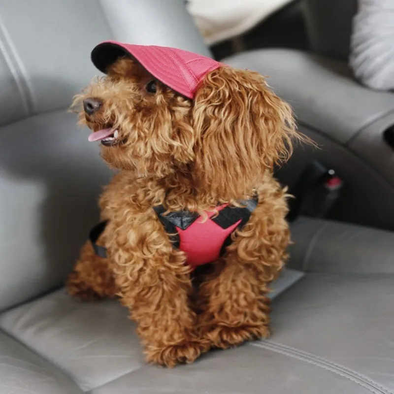 Hat for Dogs, Cotton Baseball Cap for Small Dog, Many Color Options Available