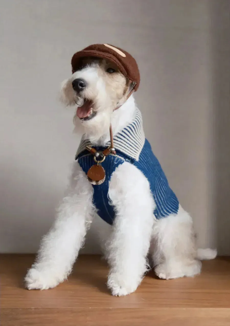 Merino Wool Dog Bakerboy Cap