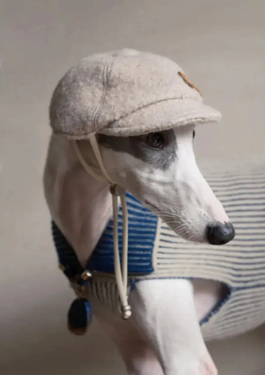 Merino Wool Dog Bakerboy Cap