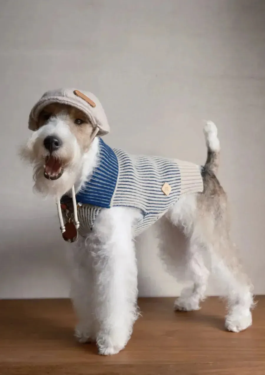 Merino Wool Dog Bakerboy Cap