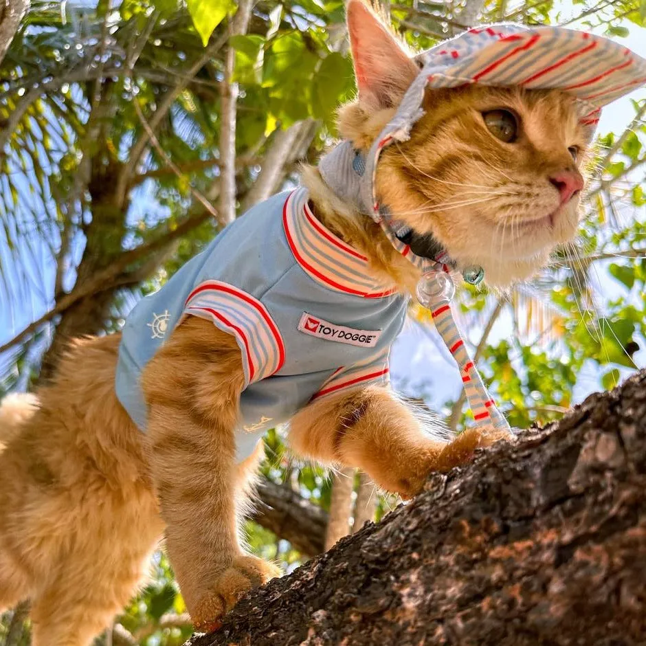 Nauti Paws | Sun Hat Protection | Toy Doggie Brand